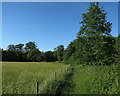 Permissive path by the Cam