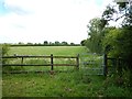 Public Footpath near Winkfield