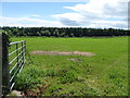 An open field, Longhill