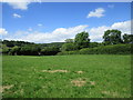 Grass field near Mitcheldean