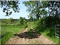 Field entrance near Dinthill Barn