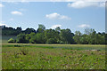 Cornard Mere