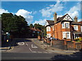 Springfield Avenue, Muswell Hill