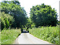 Lane near Powers Farm