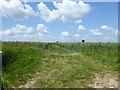 Public footpath towards Semer Gate Farm