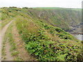 The Pembrokeshire Coast Path near Falling Cliff