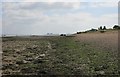 Foreshore at Ramsey Island