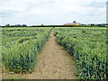 Footpath towards Red House Farm