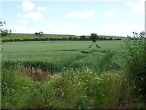 SO9662 : Field between Woolmere Green and Middle Hill by Jeff Gogarty