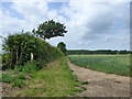 Field edge footpath