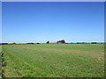 W9364 : Grassland near Ballyroe by Jonathan Thacker