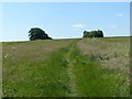 Footpath at Mount Pleasant