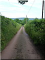 SN4515 : Narrow lane down the hill by Richard Law