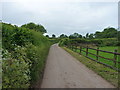 Lane past Llwynpiod farm