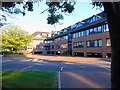 Offices on Stilts - Forest Row