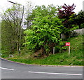 Vote Labour placard on a Hollybush corner