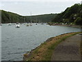 The Pembrokeshire Coast Path at Solva