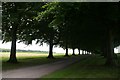 Wooded driveway near Freak