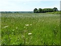 Field near Nethercote Farm