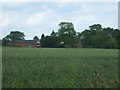 Crop field off Carbrooke Road