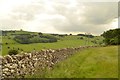 SK1654 : Public Footpath and Limestone Wall near Alsop, Derbyshire by Andrew Tryon