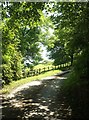 Entrance drive, Clovelly