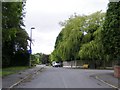 High Park Crescent view