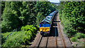 South bound freight hauled by 66305 passing Moy