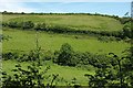 Valley above Venn