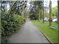 Path alongside car park, Roundhay Park