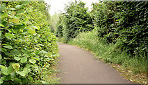 J4669 : Foot and cycle path, Comber bypass (June 2017) by Albert Bridge