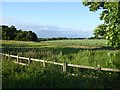 Fields north of Birchwood Road