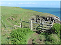 SM7529 : The Pembrokeshire Coast Path near Porth y Dwfr by Dave Kelly