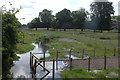 Stream and marshland off the canal at Boxmoor