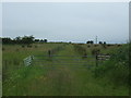 Gated track off the B8028, Shieldhill