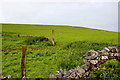 Fields near Cronkston Lodge