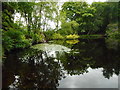 NS5477 : Craigend Pond, Mugdock Country Park by Richard Sutcliffe
