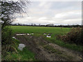 Entrance to field south of Oakham Road