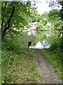 Distillery Pond, Colchester