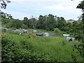 Grants Meadow Allotments 