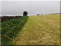 Field-side path to the south of Weecher Reservoir