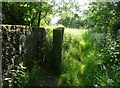 Stile on Halifax FP100 leavin Mixenden Plantation