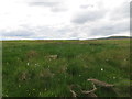 ND0853 : Moorland at Braehour looking towards Dorrery by John Ferguson