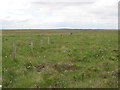 ND3164 : Fenceline on the moor looking towards Lyth by John Ferguson