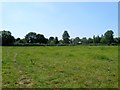 Barn Field