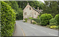 Cottages along the road