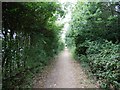 Bridleway Goes Around Legoland Carpark