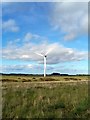 NT9737 : Wind Turbine by PAUL FARMER