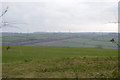 Grassy area and view out