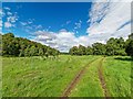 NJ0831 : Delliefure Woodland Trail by valenta